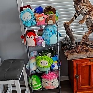 8 in 5.00 12 in 5.00 4-5 in 4.00